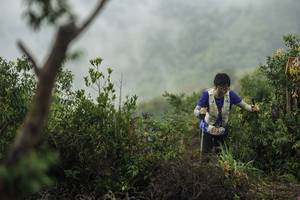 BIB: 
                            <button type="button" onclick="openModal(24740133)" class="btn btn-primary btn-sm float-right btn-popup" data-toggle="modal" data-target=".modal-high-quality">
                        <i class="fas fa-shopping-cart"></i> Add to Cart
                    </button>
                                            <button type="button" onclick="isThisMe(24740133, true)" class="btn btn-success btn-sm float-right btn-popup btn-isme hidden" data-toggle="tooltip" data-placement="bottom" title="นี่คือรูปของคุณใช่ไหม คลิกที่นี่เพื่อเอาเข้าอัลบั้ม">
                        <i class="fas fa-plus"></i> Add to album
                    </button>
                    <button type="button" onclick="isThisMe(24740133, false)" class="btn btn-warning btn-sm float-right btn-popup btn-isnotme hidden">
                        <i class="fas fa-ban"></i> Remove from album
                    </button>